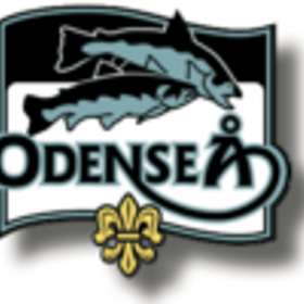 Odense Å sammenslutning -logo.png