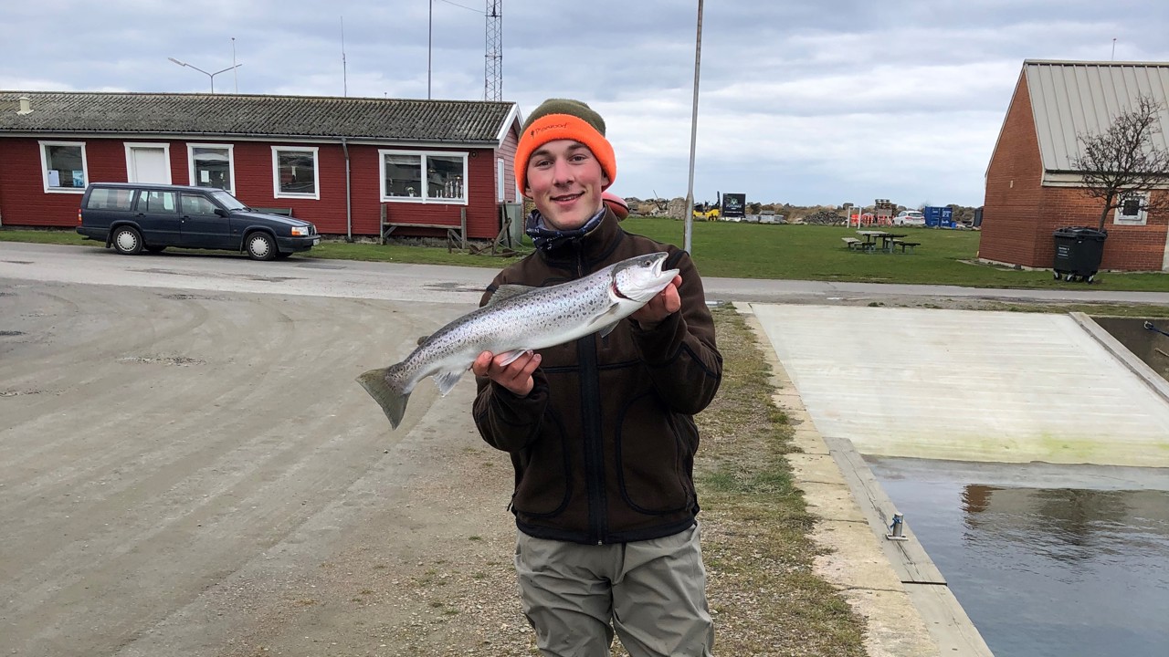 2020,03,01 Klubdyst, 1. plads til Martinus Frederiksen med en blank havørred på 1,65 kg. og 58 cm (6)