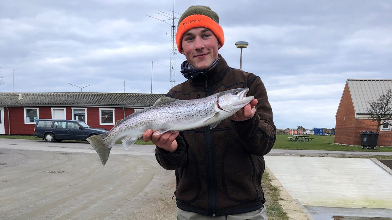 2020,03,01 Klubdyst, 1. plads til Martinus Frederiksen med en blank havørred på 1,65 kg. og 58 cm (5)