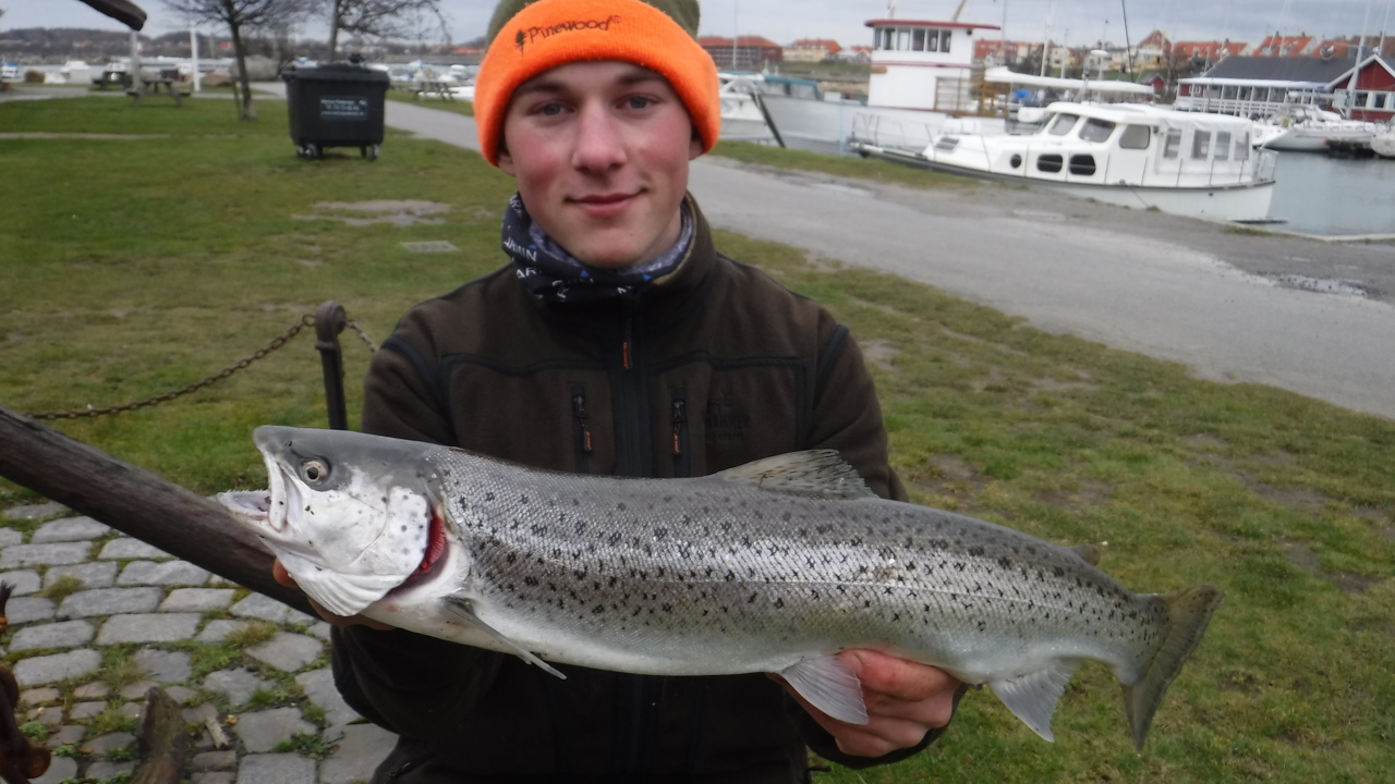 2020,03,01 Klubdyst, 1. plads til Martinus Frederiksen med en blank havørred på 1,65 kg. og 58 cm (11)