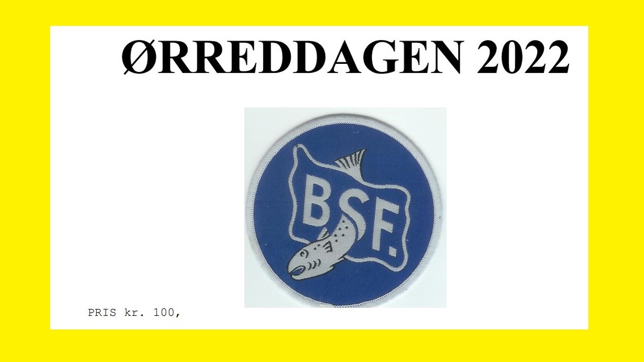 Ørreddag3