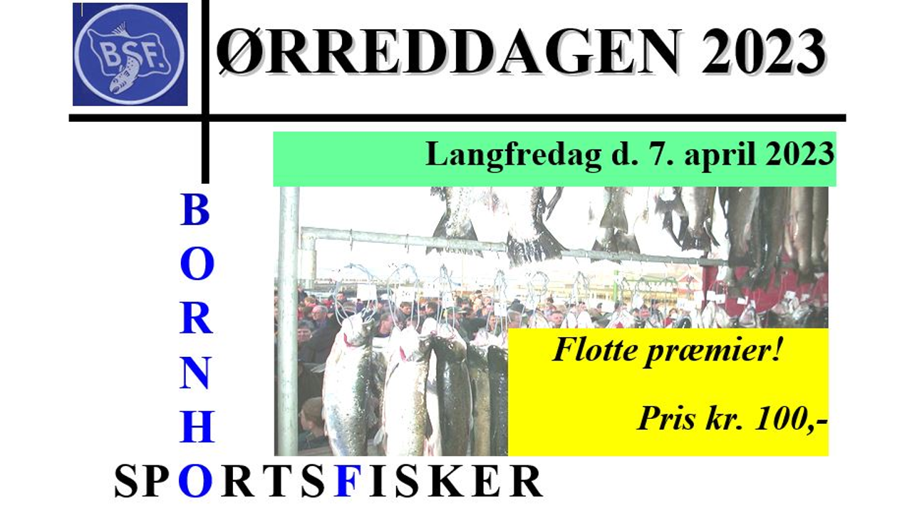 Ørreddag3