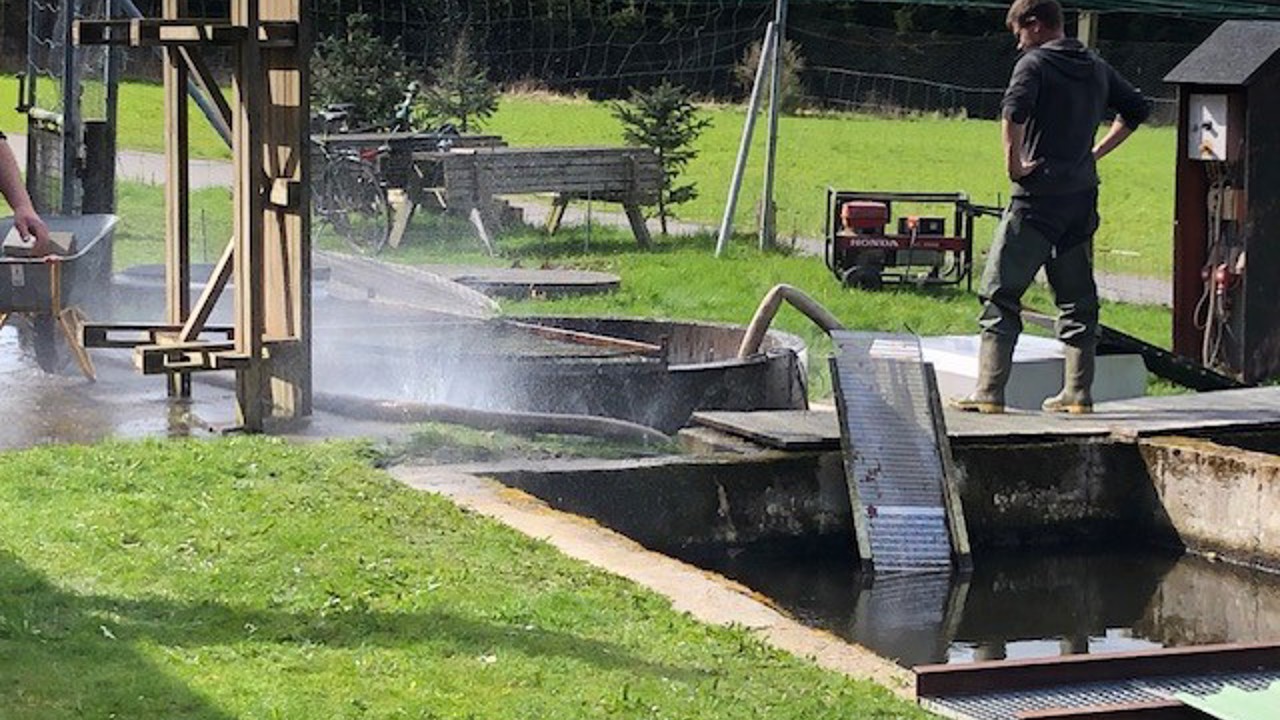 Uds 2024 Smolt Utæt Slange